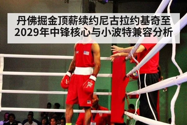 丹佛掘金顶薪续约尼古拉约基奇至2029年中锋核心与小波特兼容分析