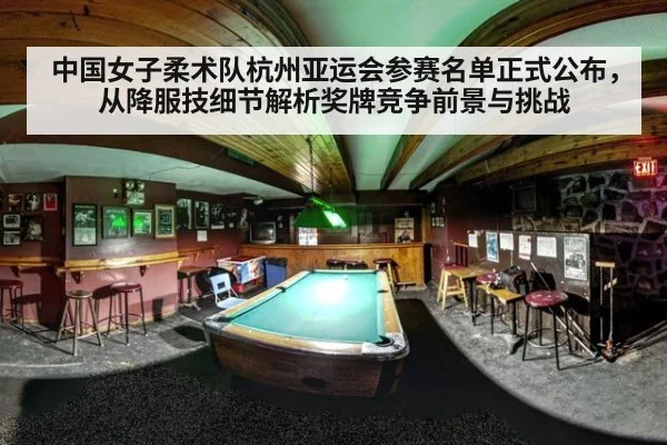 中国女子柔术队杭州亚运会参赛名单正式公布,从降服技细节解析奖牌竞争前景与挑战